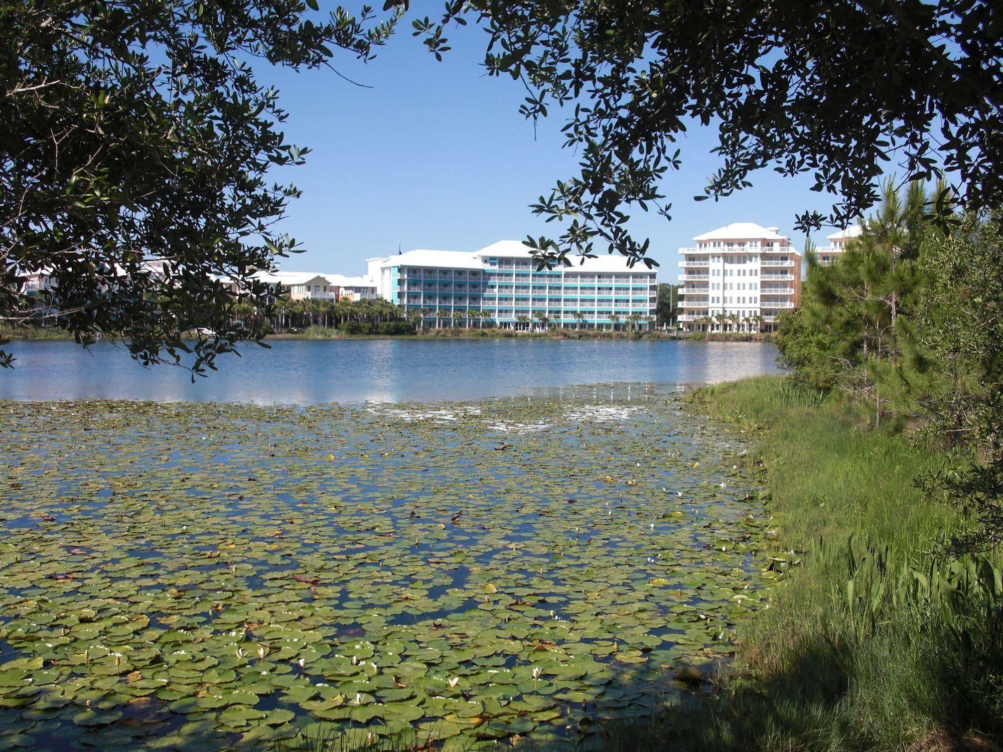רוזמרי ביץ' Carillon Beach Resort Inn מראה חיצוני תמונה